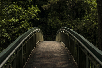 Brücke im Wald